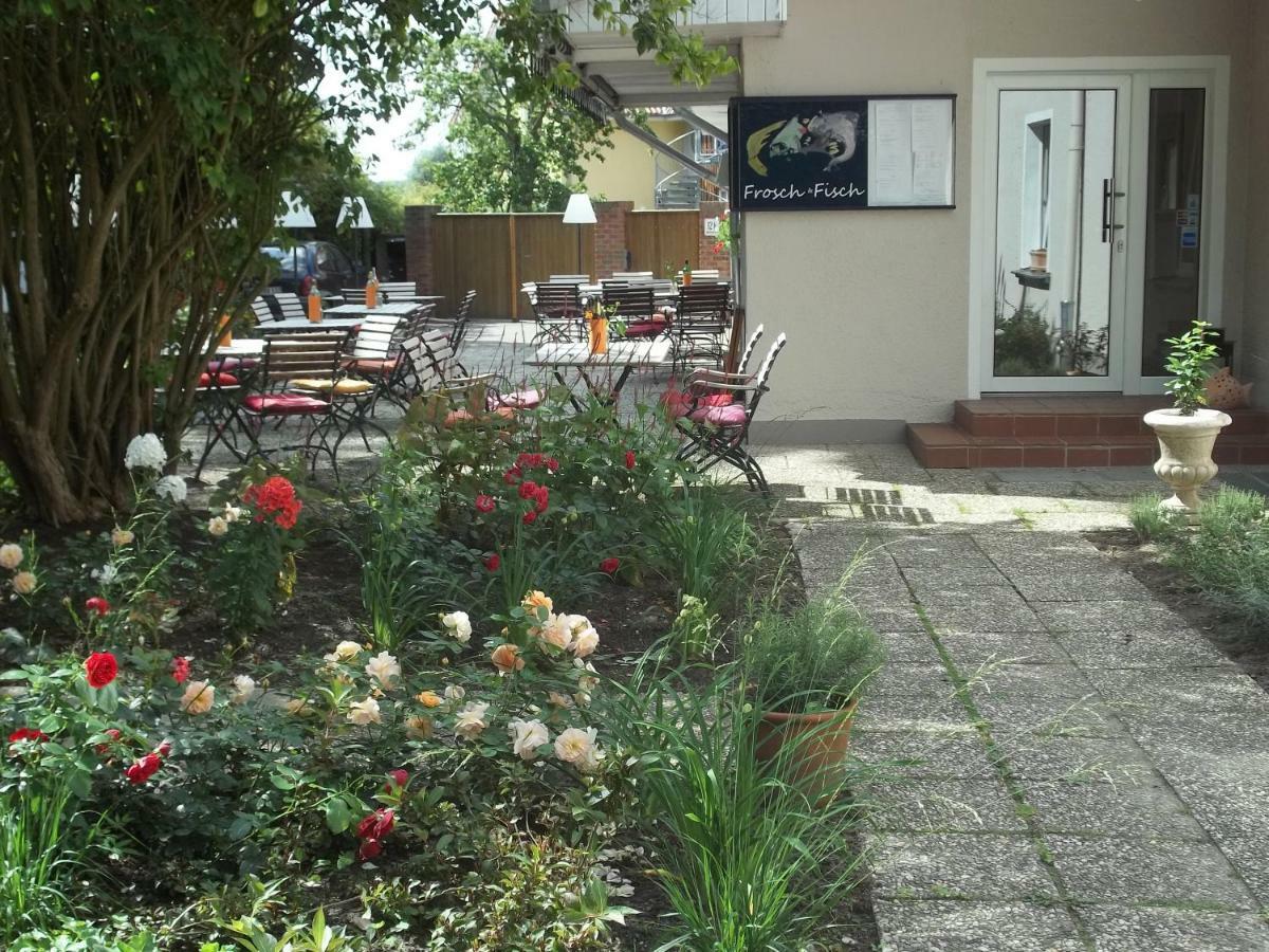 "Frosch & Fisch" Bed & Breakfast Химелпфорт Екстериор снимка